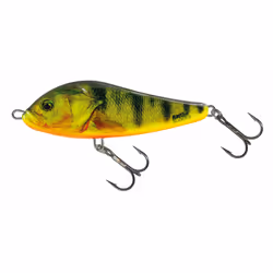 Leurre Salmo RC11F 21g