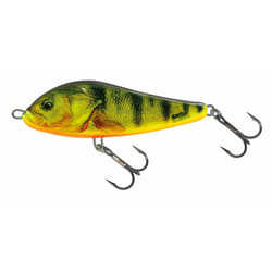 Leurre Salmo RC11F 21g