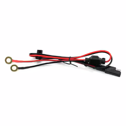 Everactive CBC5 Chargeur de batterie pour véhicules 6-12 V Noir