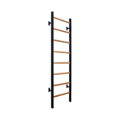 BenchK 200B barre de traction avec extenseurs 150 kg Noir, Bois Mur