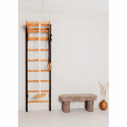 BenchK BENCHK-221B-A076 barre de traction avec extenseurs 120 kg Noir Mur