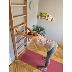 BenchK 100 barre de traction avec extenseurs 120 kg Bois Mur