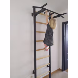 BenchK 221B barre de traction avec extenseurs 150 kg Noir Mur