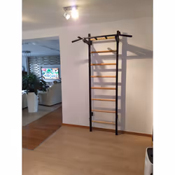 BenchK 221B barre de traction avec extenseurs 150 kg Noir Mur
