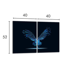 Plaque De Protection En Verre Pour Poêle 2x40x52 Bird