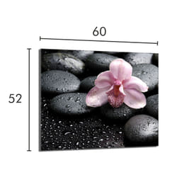Plaque De Protection En Verre Pour Poêle 60x52 Orchidea