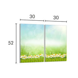 Plaque De Protection En Verre Pour Le Poêle 2x30x52 Marguerites