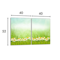 Plaque De Protection En Verre Pour Le Poêle 2x40x52 Marguerites
