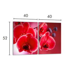 Plaque De Protection En Verre Pour Poêle 2x40x52 Orchidea