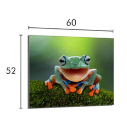 Plaque De Protection En Verre Pour Le Poêle 60x52 Frog