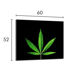 Plaque De Protection En Verre Pour Poêle 60x52 Leaf