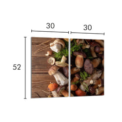 Plaque De Protection En Verre Pour Le Poêle 2x30x52 Champignons