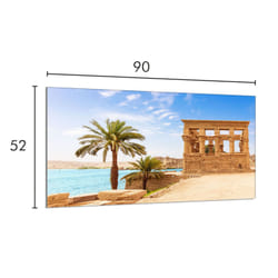 Protection De Plaque De Cuisson En Verre 90x52 Palmiers