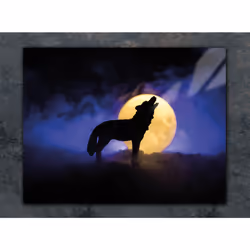 Planche À Découper En Verre 52x40 Wolf - Vue supplémentaire 2