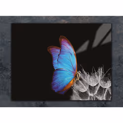 Planche À Découper En Verre 40x30 Papillon - Vue supplémentaire 2