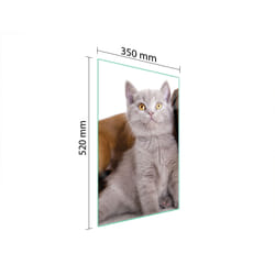 Planche À Découper En Verre 35x52 Animaux