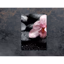 Planche À Découper En Verre 35x52 Orchidée - Vue supplémentaire 2