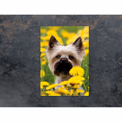 Planche À Découper En Verre 35x52 Chien - Vue supplémentaire 2