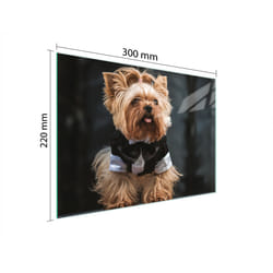 Planche À Découper En Verre 30x22 Chien
