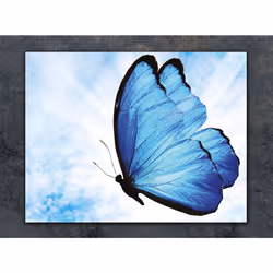 Planche À Découper En Verre 30x22 Papillon - Vue supplémentaire 2