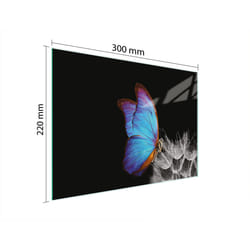 Planche À Découper En Verre 30x22 Papillon