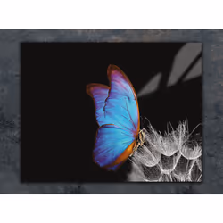 Planche À Découper En Verre 30x22 Papillon - Vue supplémentaire 2