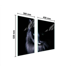 Plaque De Protection En Verre 75x52 Cat