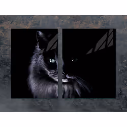 Plaque De Protection En Verre 75x52 Cat - Vue supplémentaire 2