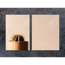 Plaque De Protection En Verre 75x52 Cactus - Vue supplémentaire 2