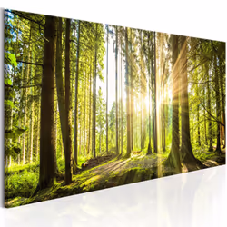 Planete Discount PD9760-150-50, Forêt, Marron, Vert, Jaune, Panneaux MDF, 1500 mm, 20 mm, 500 mm