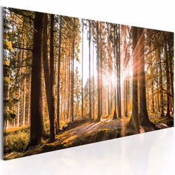 Planete Discount PD9761-135-45, Forêt, Marron, Vert, Orange, Jaune, Panneaux MDF, 1350 mm, 20 mm, 450 mm