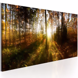 Planete Discount PD9762-135-45, Forêt, Marron, Vert, Orange, Jaune, Panneaux MDF, 1350 mm, 20 mm, 450 mm