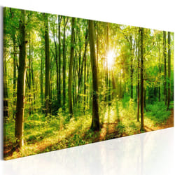 Planete Discount PD9763-135-45 tableau
