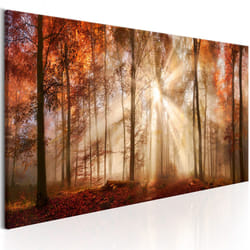 Planete Discount PD9764-135-45 tableau