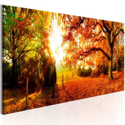Tableau Magic of Autumn - PD9767-150-50