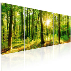 Planete Discount PD9769-200-80 tableau