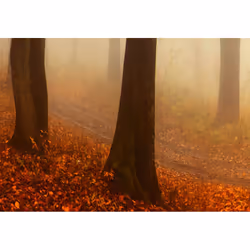 Tableau Morning Fog - PD9770-225-90