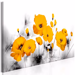 Planete Discount PD10998-150-50