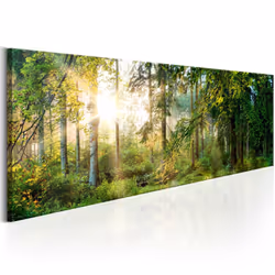 Planete Discount PD9775-150-50, Forêt, Marron, Vert, Jaune, Panneaux MDF, 1500 mm, 20 mm, 500 mm