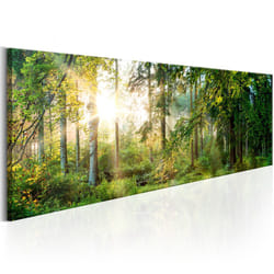 Tableau Forest Shelter - PD9775-150-50