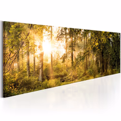 Planete Discount PD9776-150-50, Forêt, Marron, Vert, Jaune, Panneaux MDF, 1500 mm, 20 mm, 500 mm