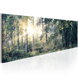 Planete Discount PD9777-120-40 tableau