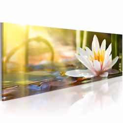 Planete Discount PD11000-150-50, Fleurs variées, Vert, Blanc, Jaune, Panneaux MDF, 1500 mm, 500 mm