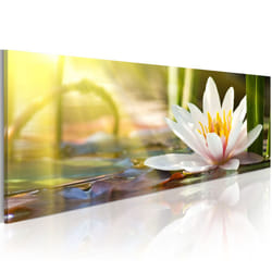 Tableau Fleurs Lotus' Glow - PD11000-150-50