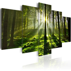 Planete Discount PD9796-100-50 tableau