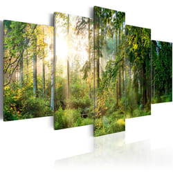 Planete Discount PD9808-100-50 tableau