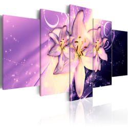 Planete Discount PD11029-100-50 tableau