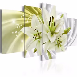 Planete Discount PD11036-200-100, Lys, Vert, Gris, Blanc, Panneaux MDF, 2000 mm, 1000 mm