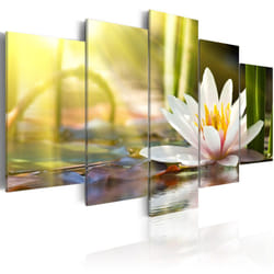 Tableau Fleurs Sunny Lotus - PD11041-200-100