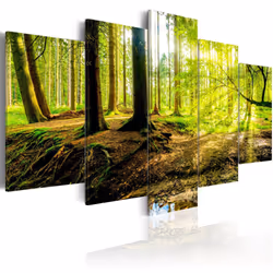 Planete Discount PD9821-200-100